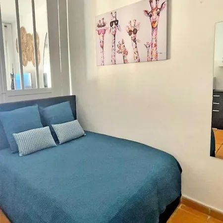 Studio For 4 People La Nartelle